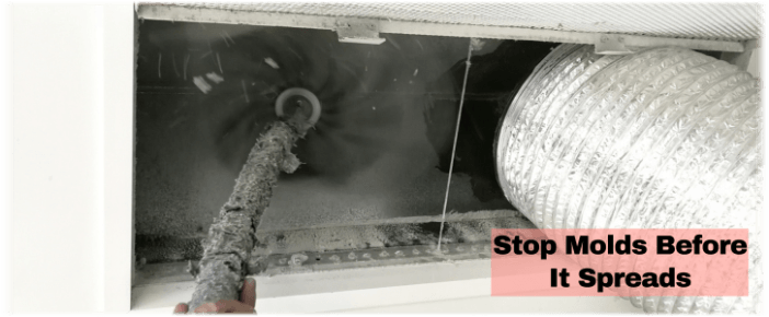 Air Duct Mold Removal in West Chester PA