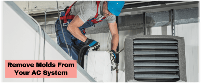 HVAC Mold Removal West Chester PA